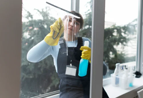 Nettoyage de vitres intérieures et extérieures à Vernoux-sur-Boutonne